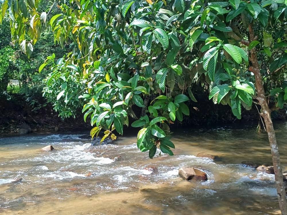 Lemuni Retreat & Training Centre - Kerling, Selangor Hotel Екстериор снимка